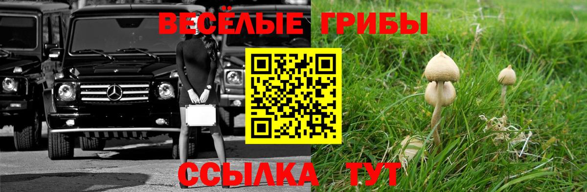 Кемерово  Псилоцибиновые грибы Psilocybe  Вход с VPN 